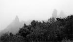 Мрачные скалы прорисовываются в тумане